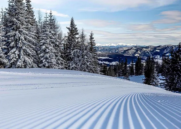 Birdie * 圣兰布雷希特