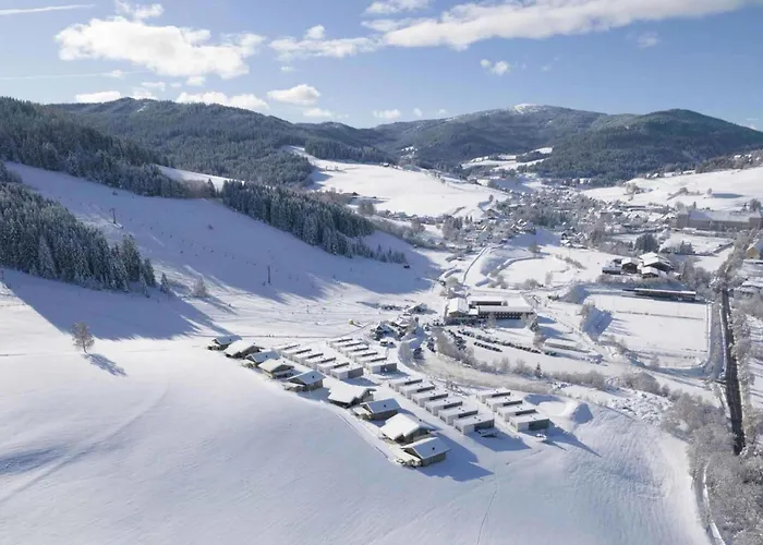 Birdie Tatil Evi Sankt Lambrecht